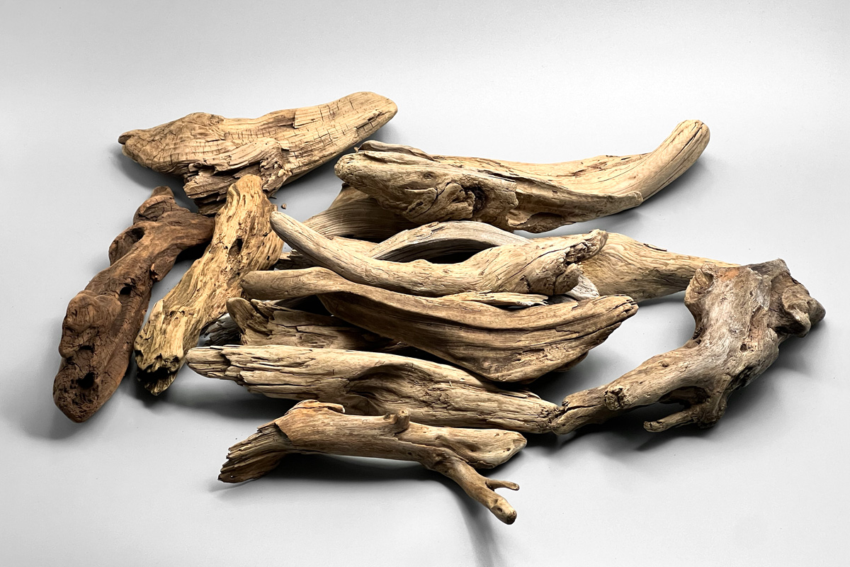 tillandsia-driftwood-