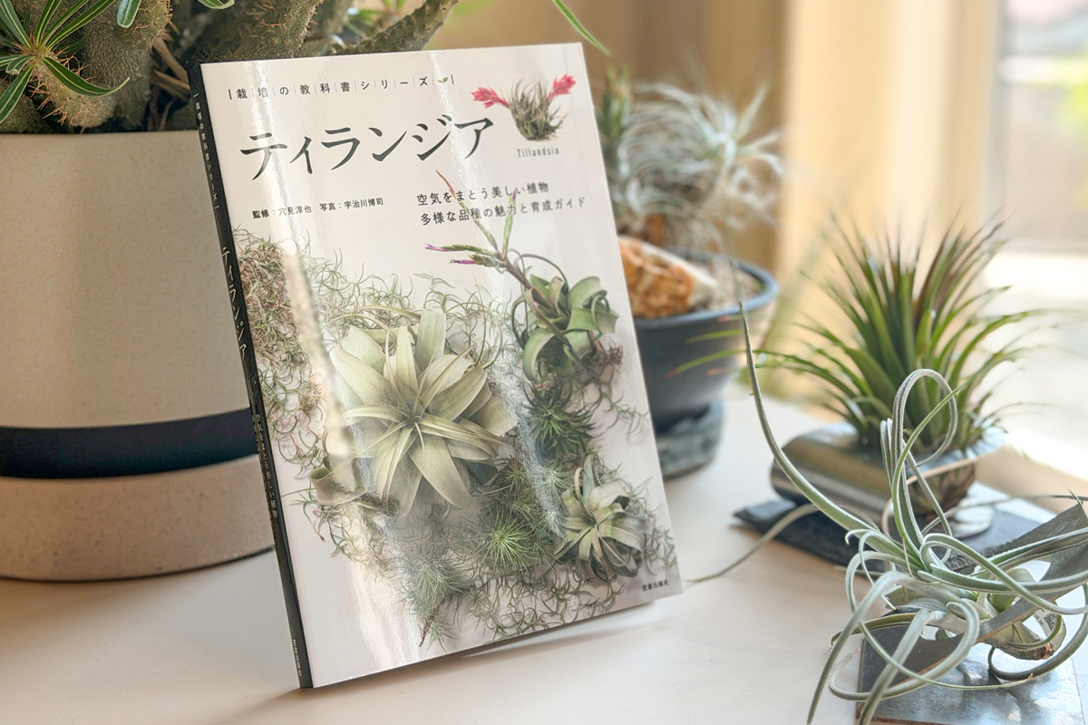ティランジアの新しい教科書が登場！取材・撮影協力させていただきまし
